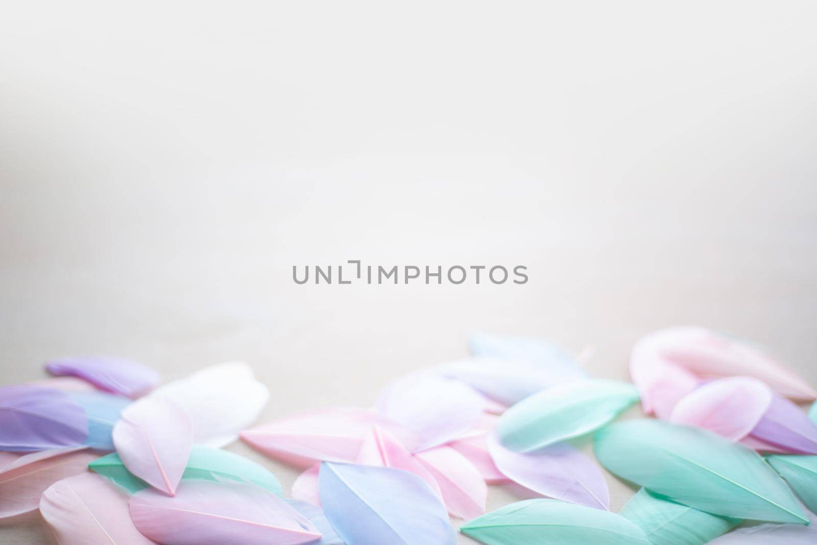 Color feather texture background by destillat