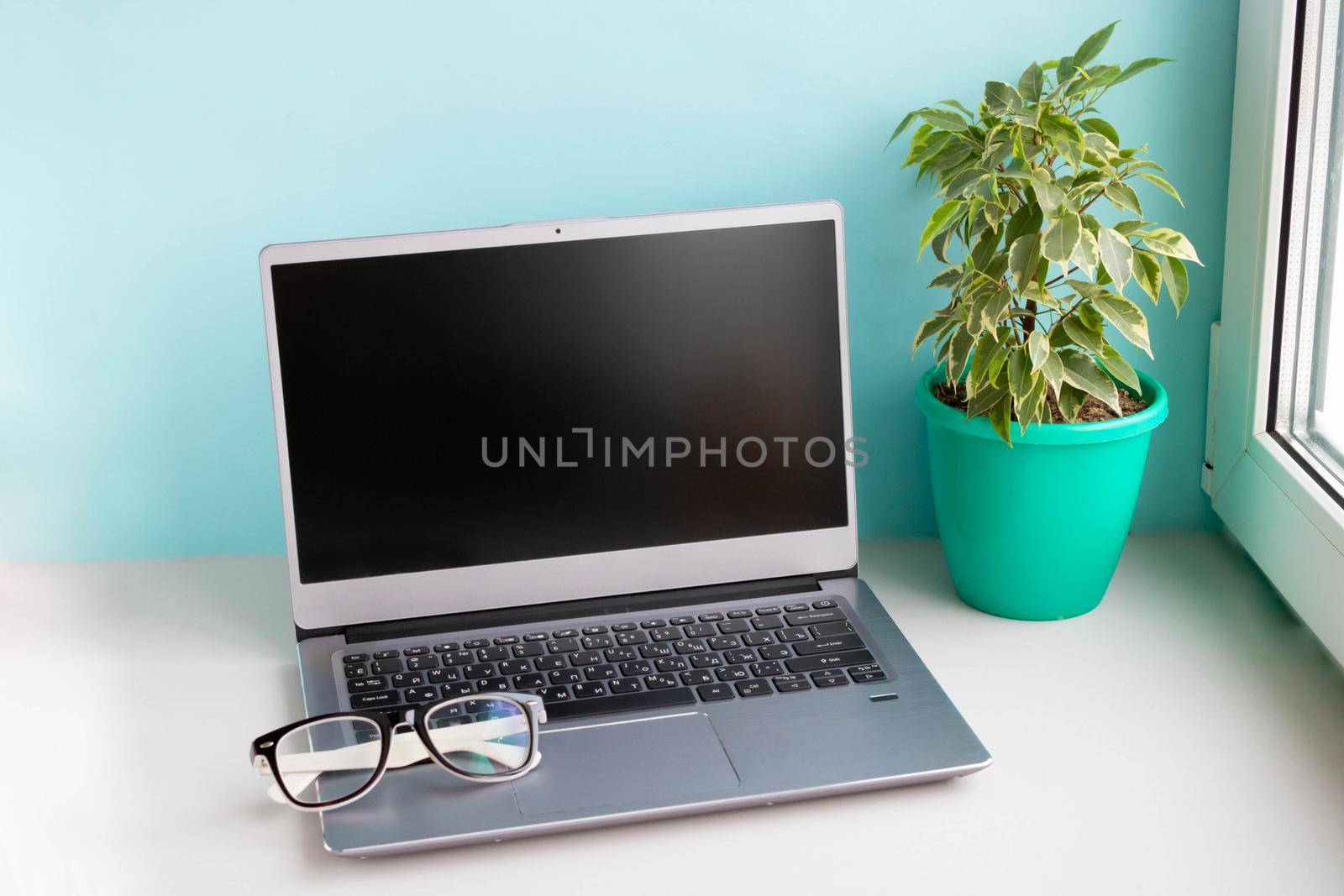 Workplace with a laptop, glasses and a ficus tree in a green pot near the window.