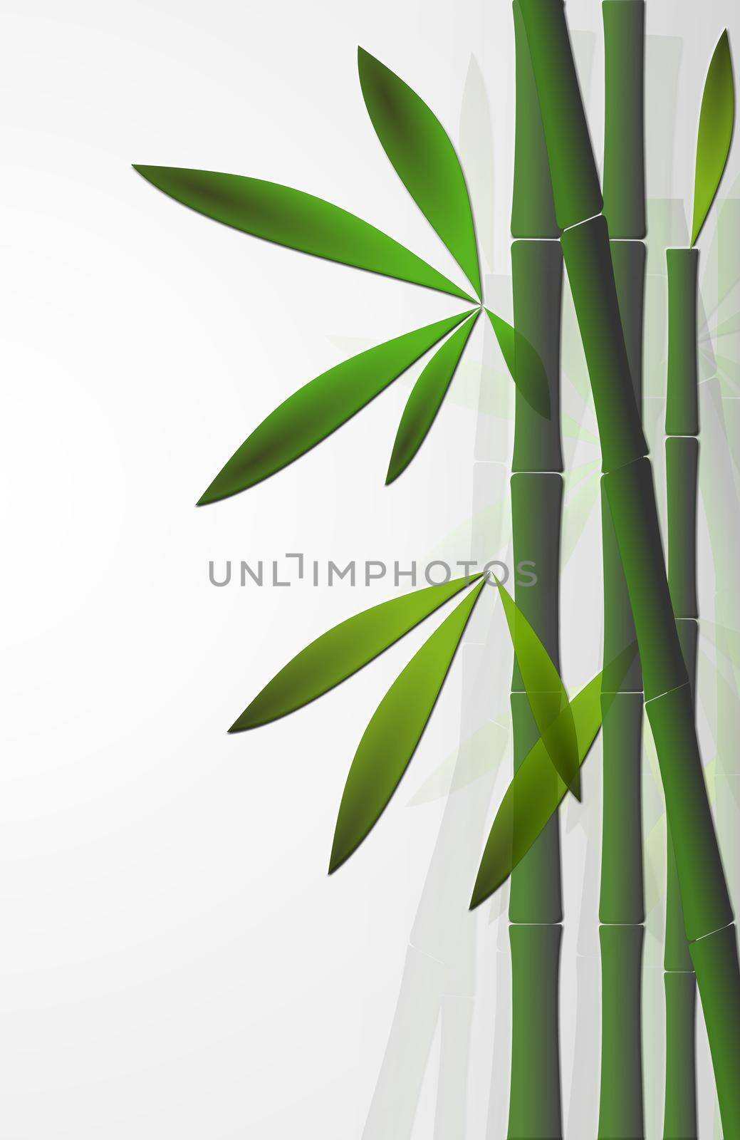 Bamboo background over white by NelliPolk