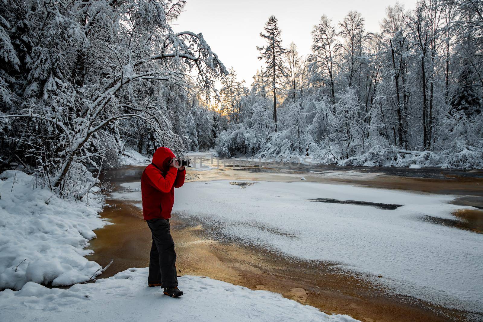 The photographer does to a photo the wild nature at sunset, the wild frozen small river in the winter wood, the Red River, ice, snow-covered trees by vladimirdrozdin