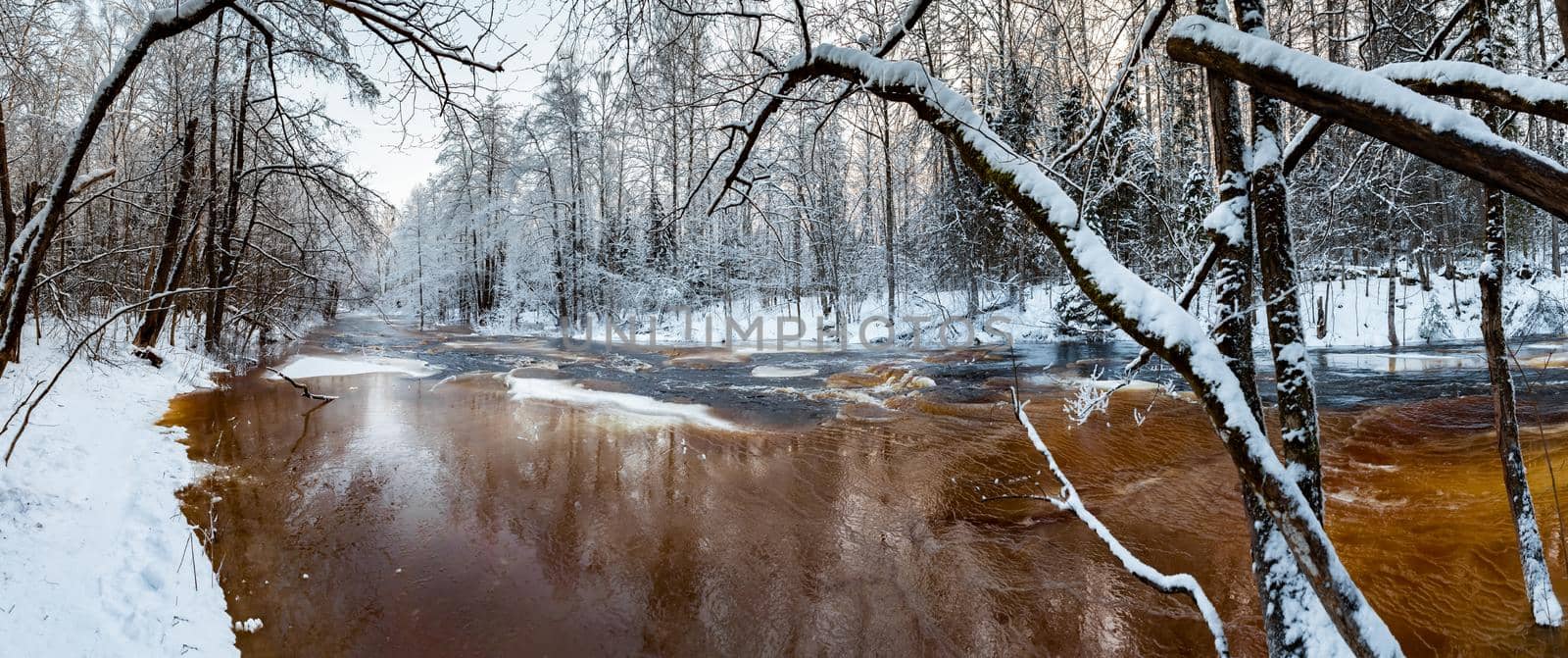 The wild frozen small river in the winter wood, the wild nature at sunset, the river of red color, ice, snow-covered trees by vladimirdrozdin
