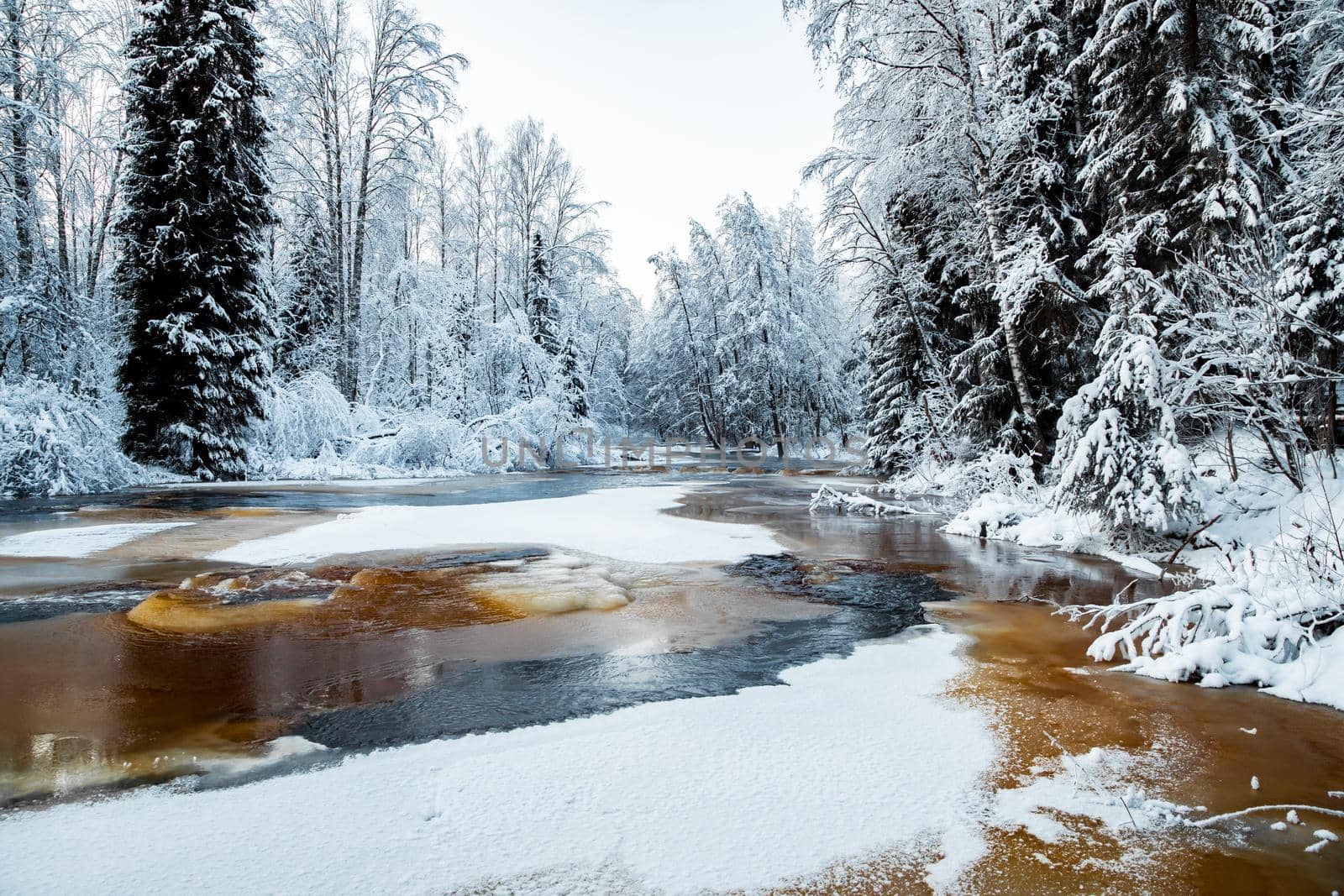 The wild nature at sunset, the wild frozen small river in the winter wood, the Red River, ice, snow-covered trees. High quality photo