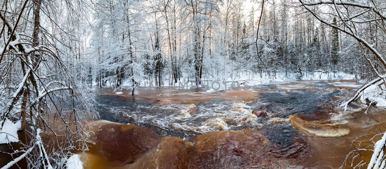 The wild nature at sunset, the wild frozen small river in the winter wood, the Red River, ice, snow-covered trees. High quality photo