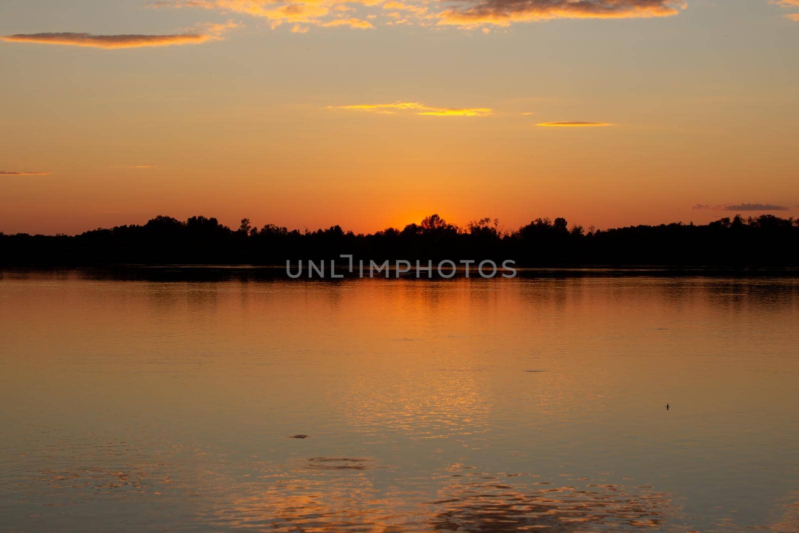 Colorful sunny sunset on a calm lake. The sun is reflected on the surface of the water.