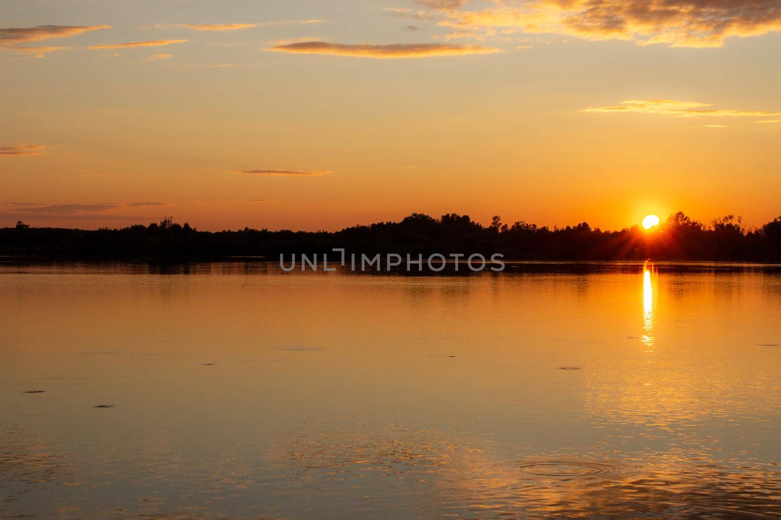 Colorful sunny sunset on a calm lake. The sun is reflected on the surface of the water.