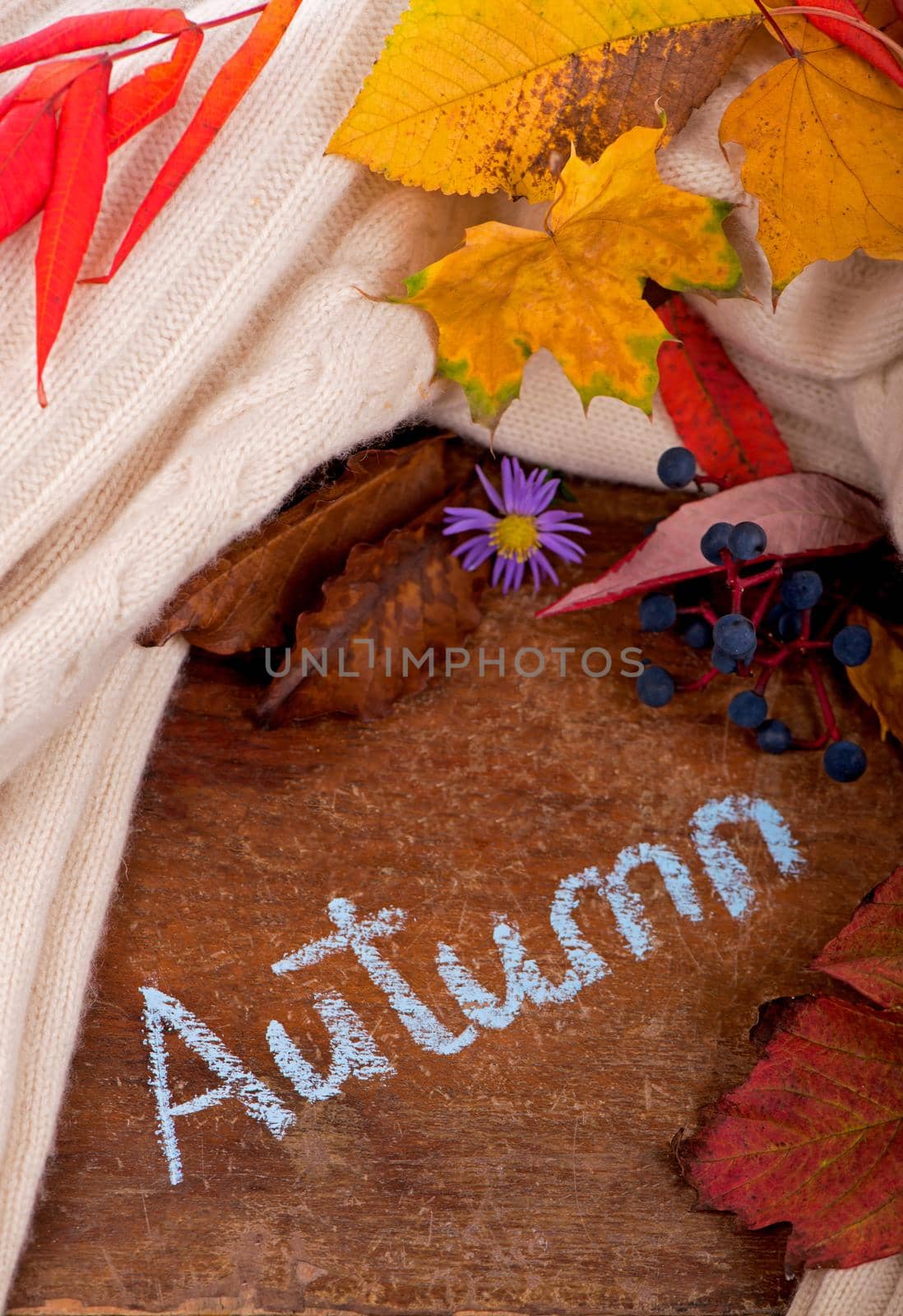 autumn background with colored leaves on wooden board by aprilphoto