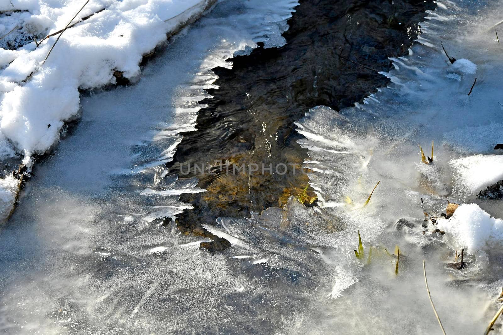 little creek in winter with ice