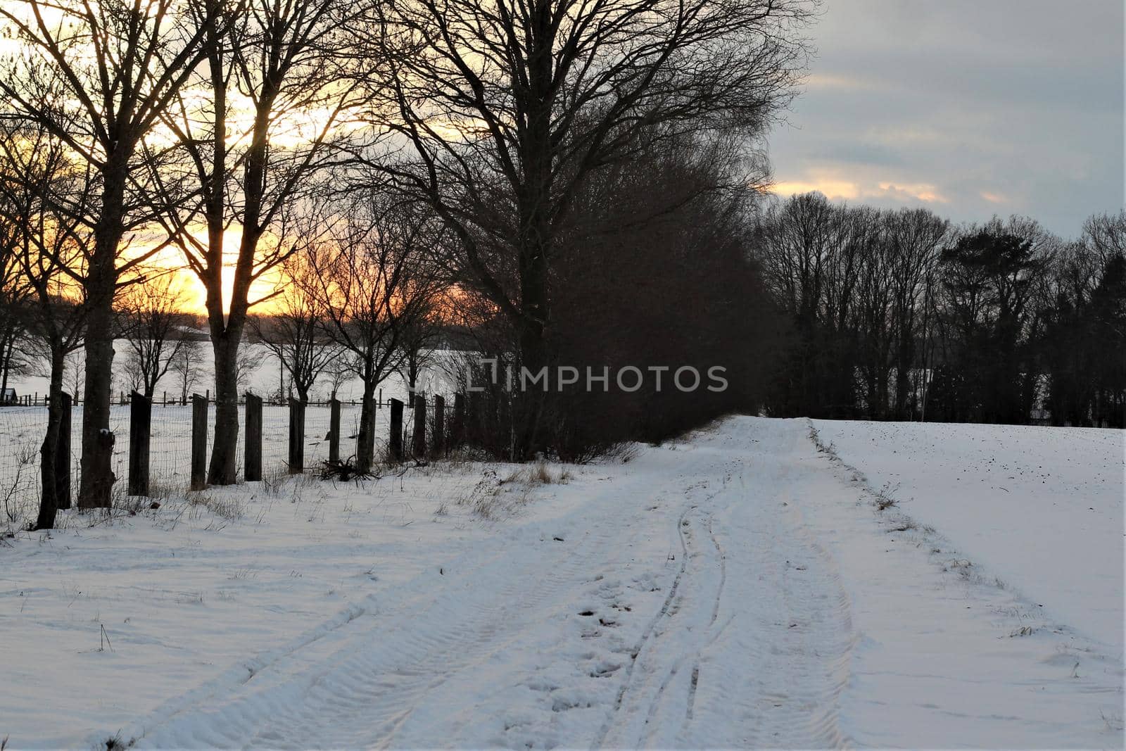 Winter landscape with trees sunset and dirt road in the snow