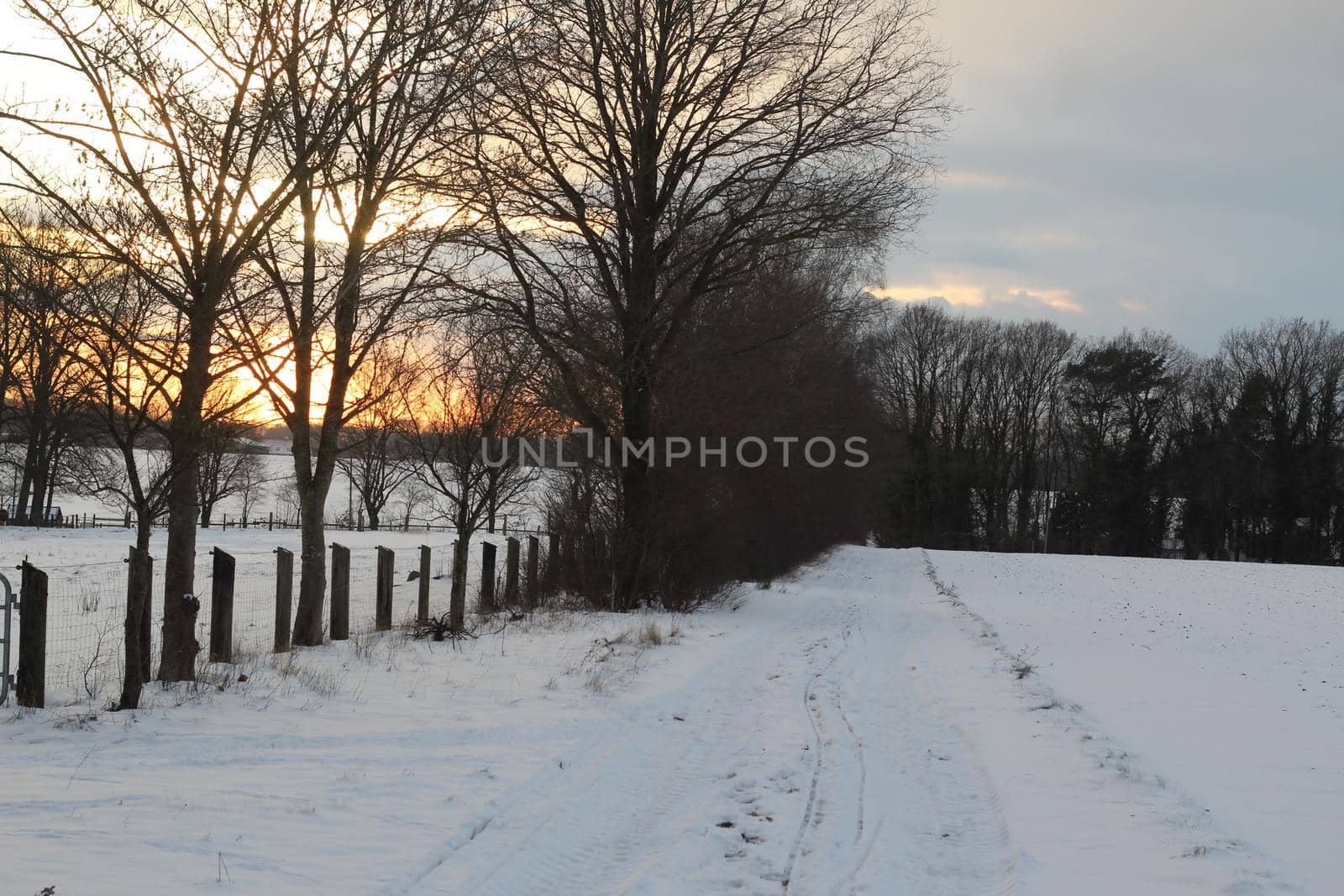 Winter landscape with trees sunset and dirt road in the snow