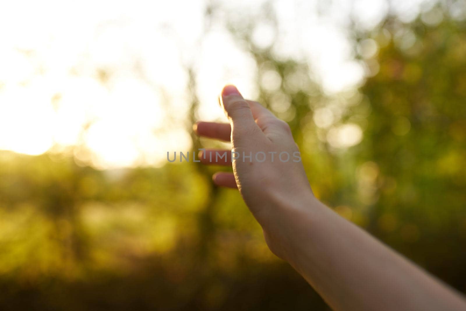 female hand park summer trees sun green grass nature by SHOTPRIME