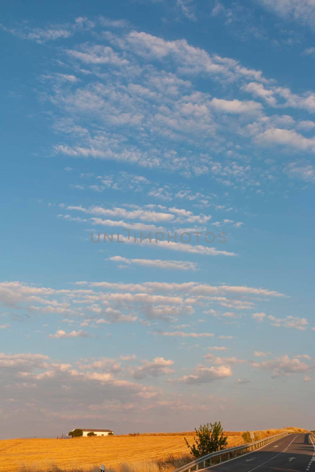 Agricultural farm in southern Andalusia with a cloud filled sky in spain