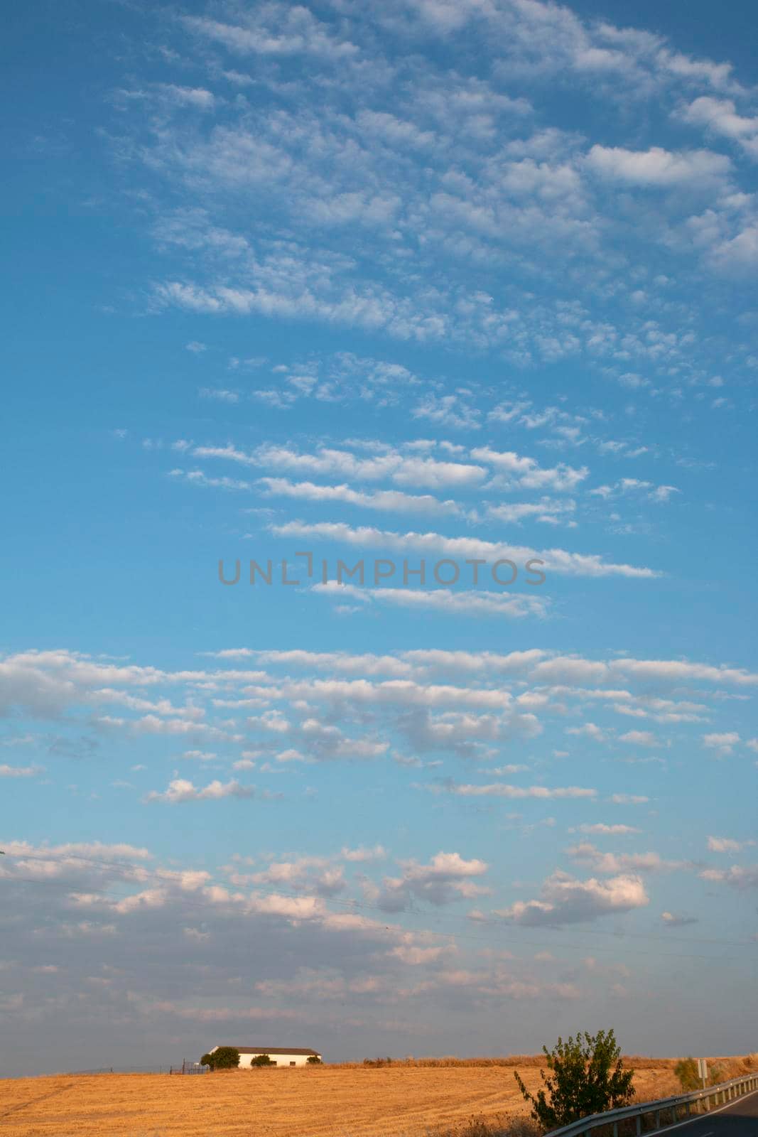 Agricultural farm in southern Andalusia with a cloud filled sky in spain