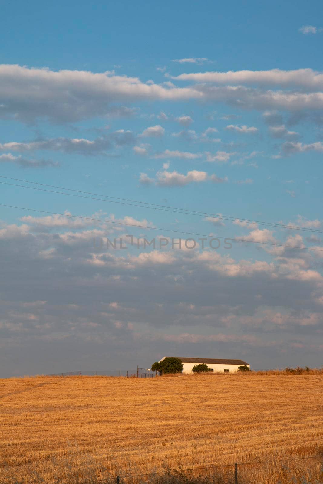 Agricultural farm in southern Andalusia with a cloud filled sky in spain