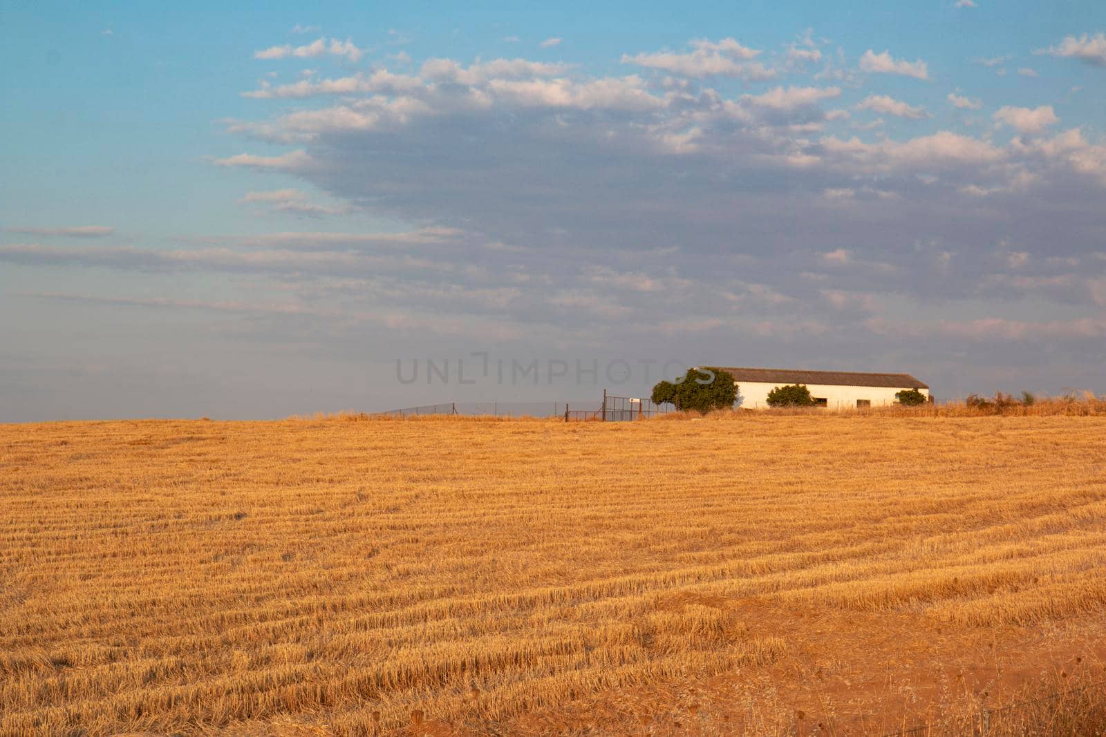 Agricultural farm in southern Andalusia with a cloud filled sky by loopneo