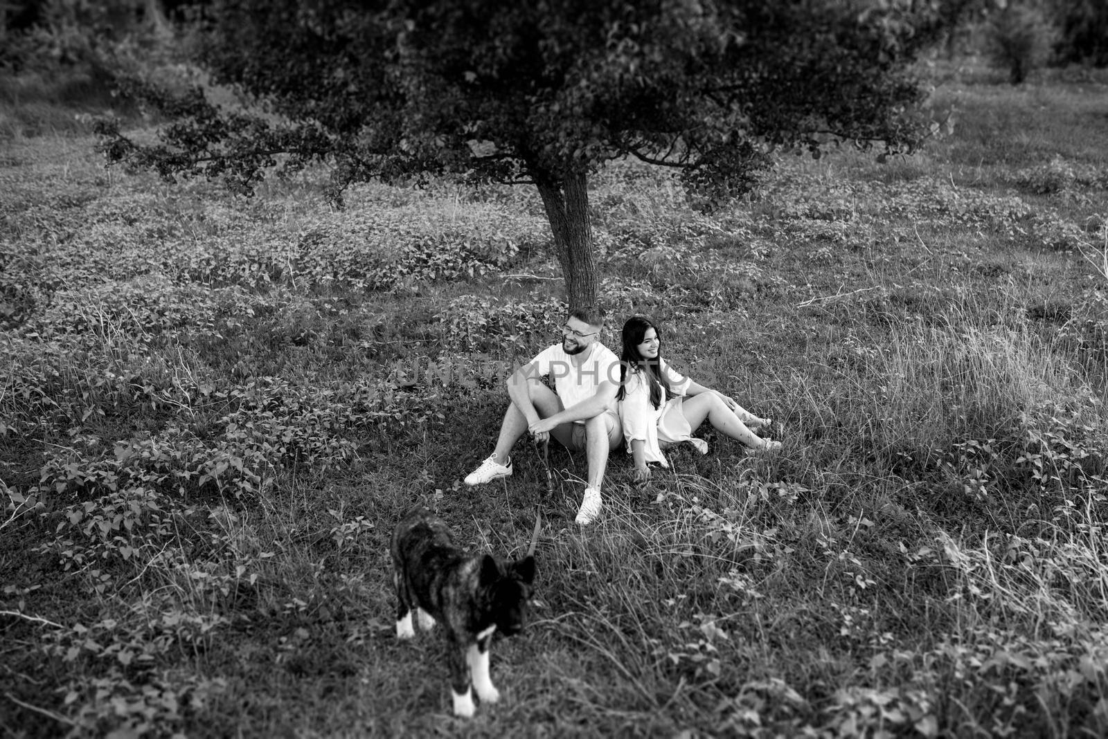 Big dog for a walk with a guy and a girl on the green prairie