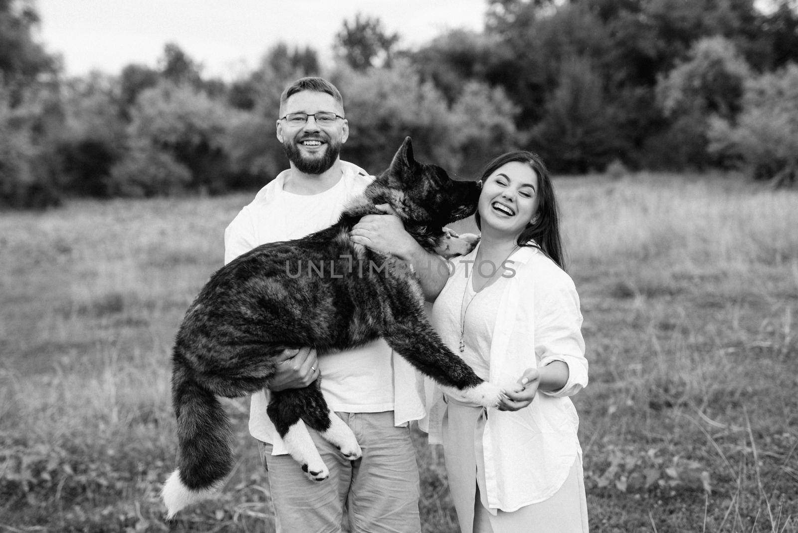 Big dog for a walk with a guy and a girl on the green prairie