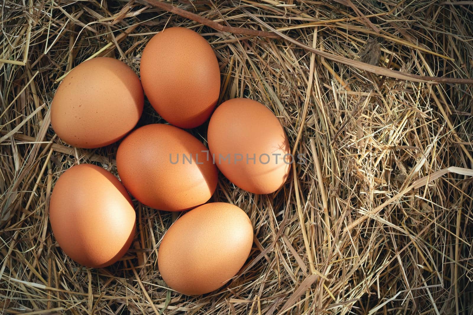 Several raw fresh chicken eggs in a nest of hay on a wooden background.