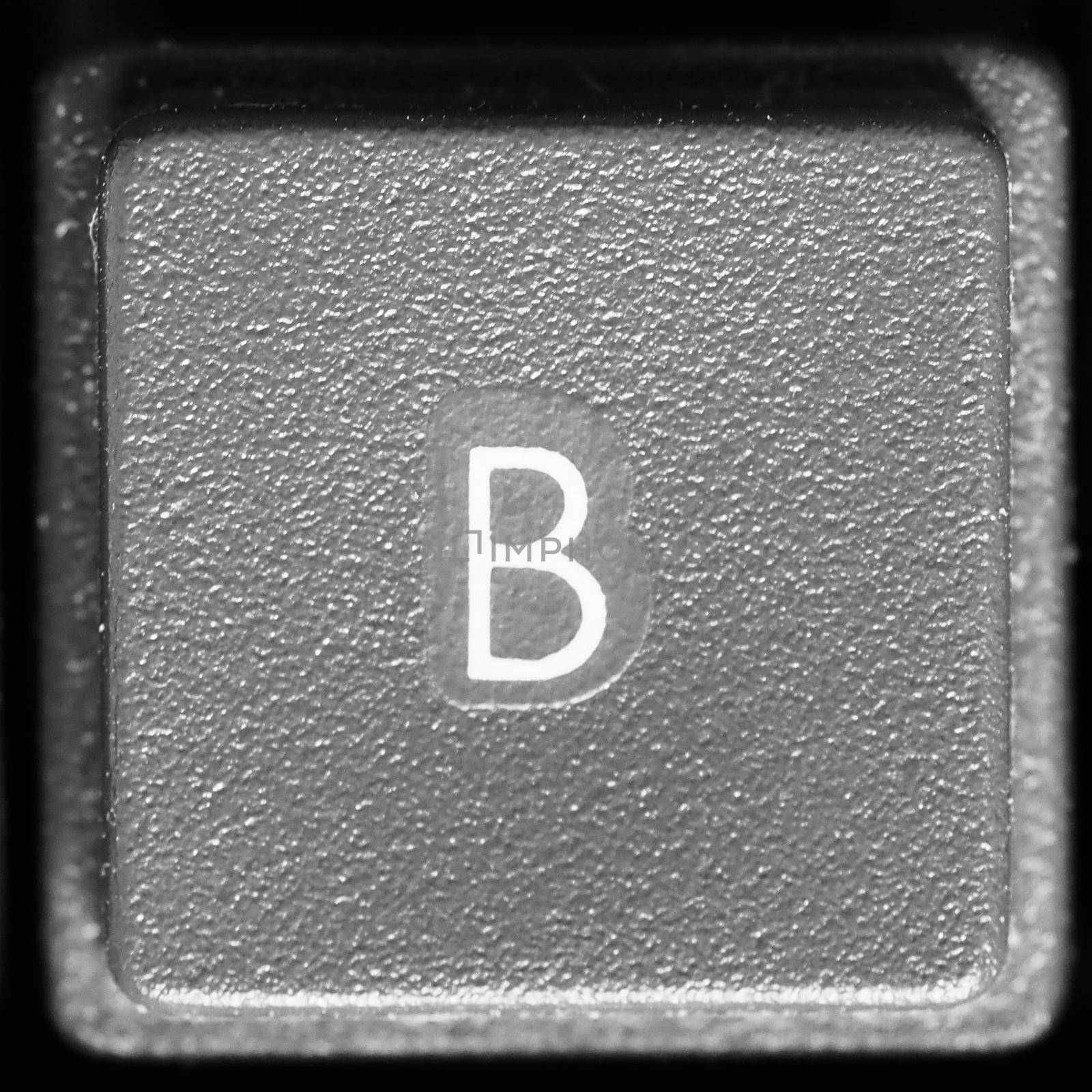 Letter B key on computer keyboard keypad