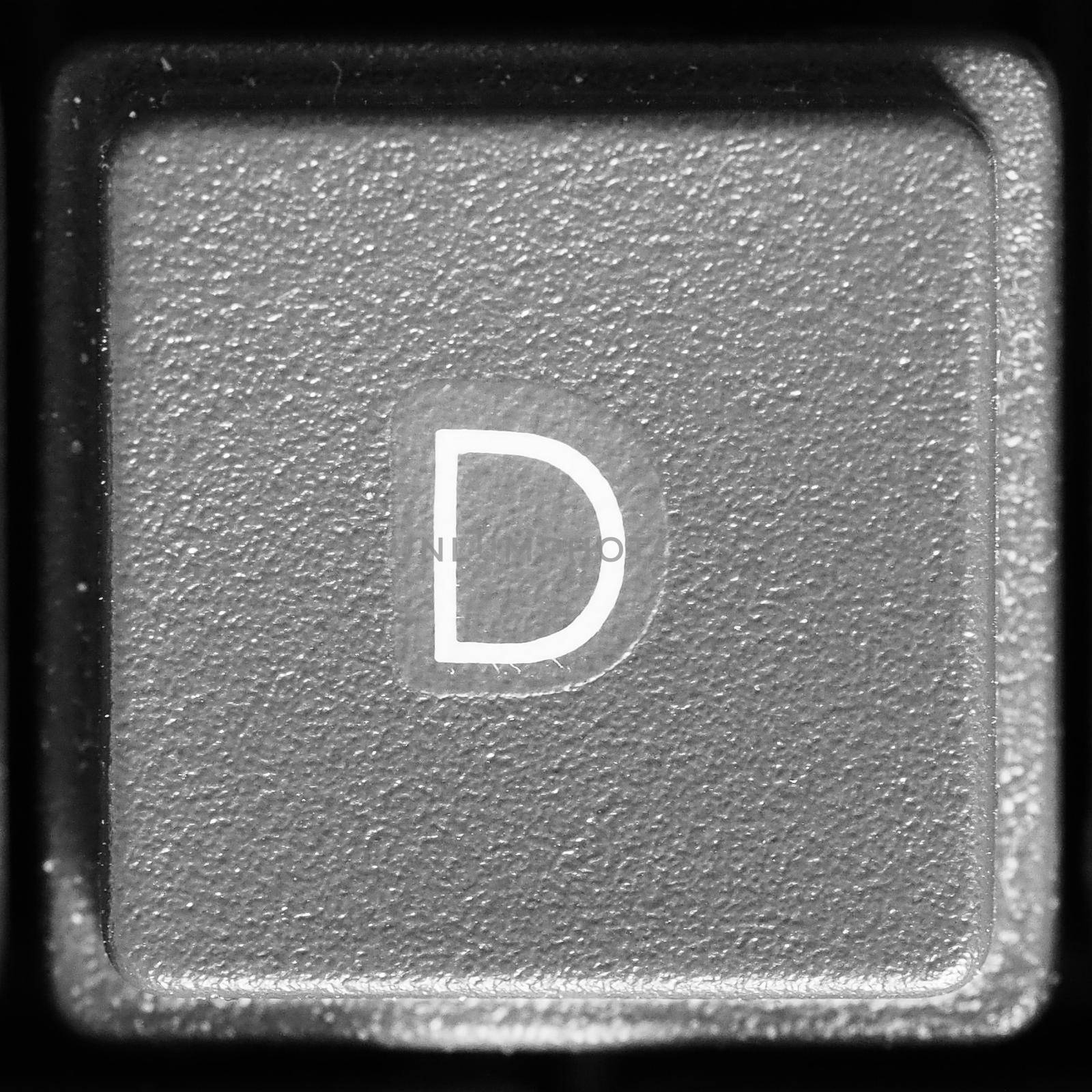 Letter D key on computer keyboard keypad