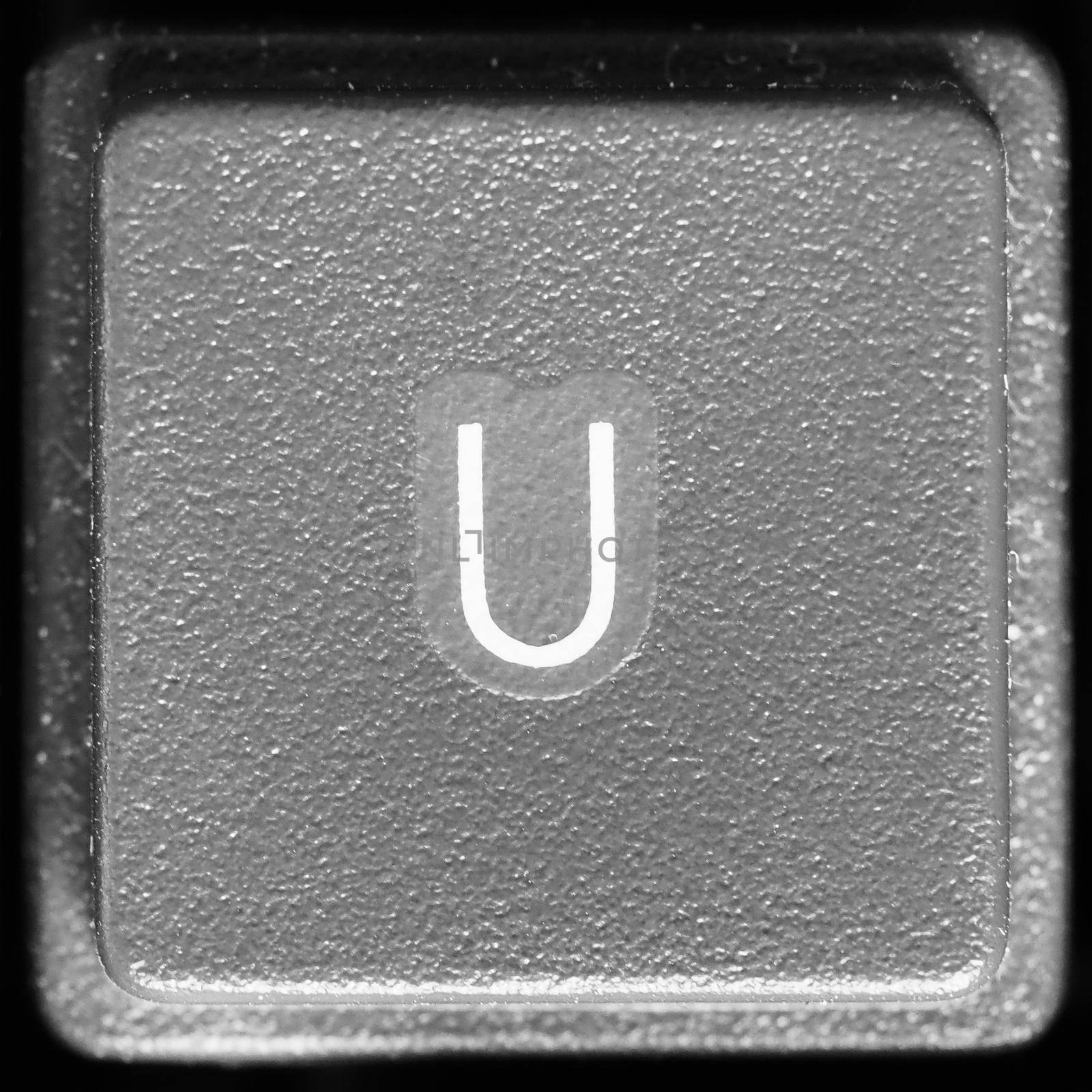 Letter U on computer keyboard by claudiodivizia