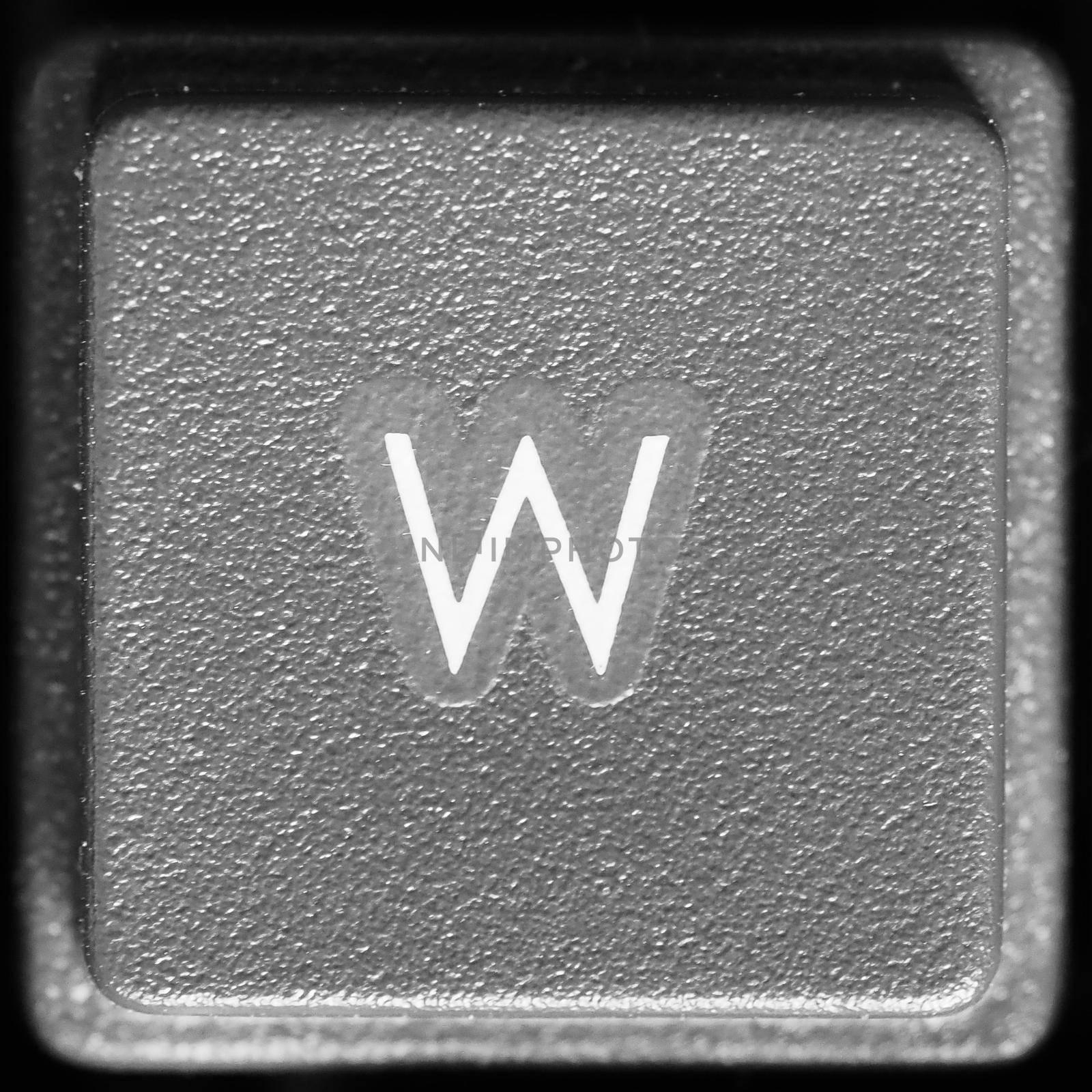 Letter W on computer keyboard by claudiodivizia