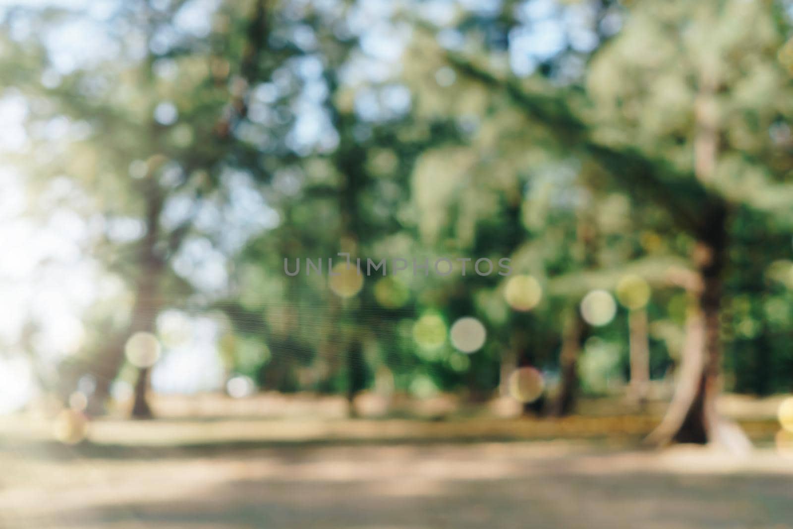 Blur nature bokeh green park by beach and tropical coconut trees. by Suwant