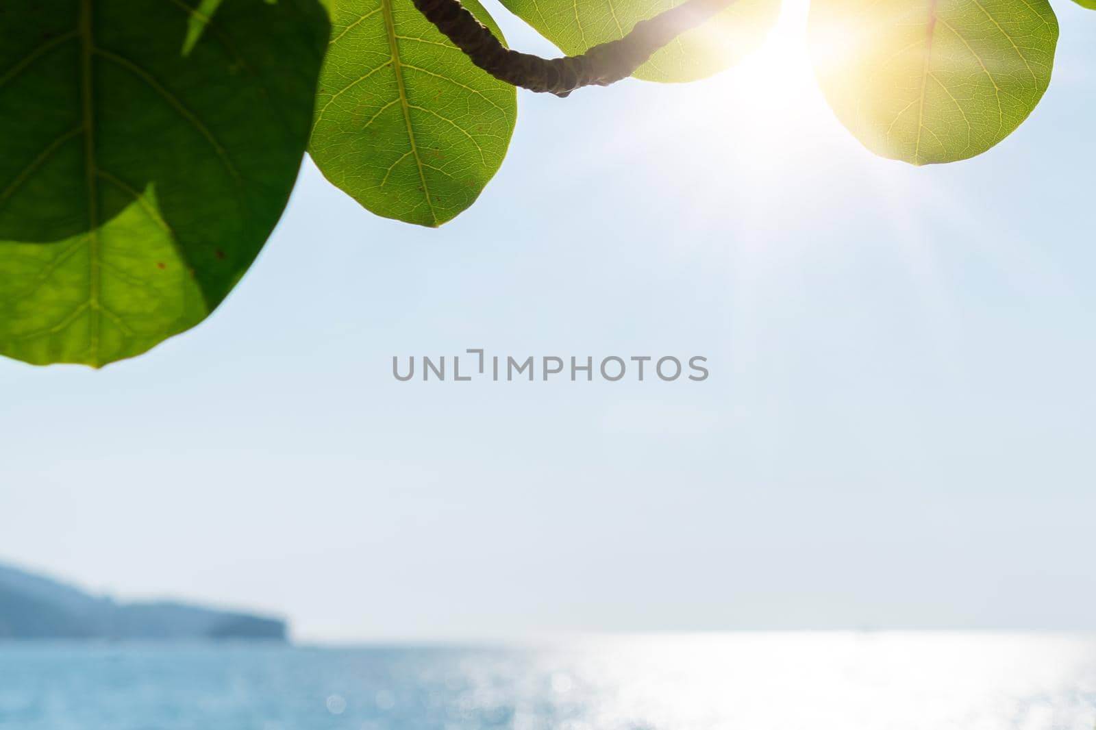 Tropical nature clean beach and white sand in summer season with sun light blue sky background.