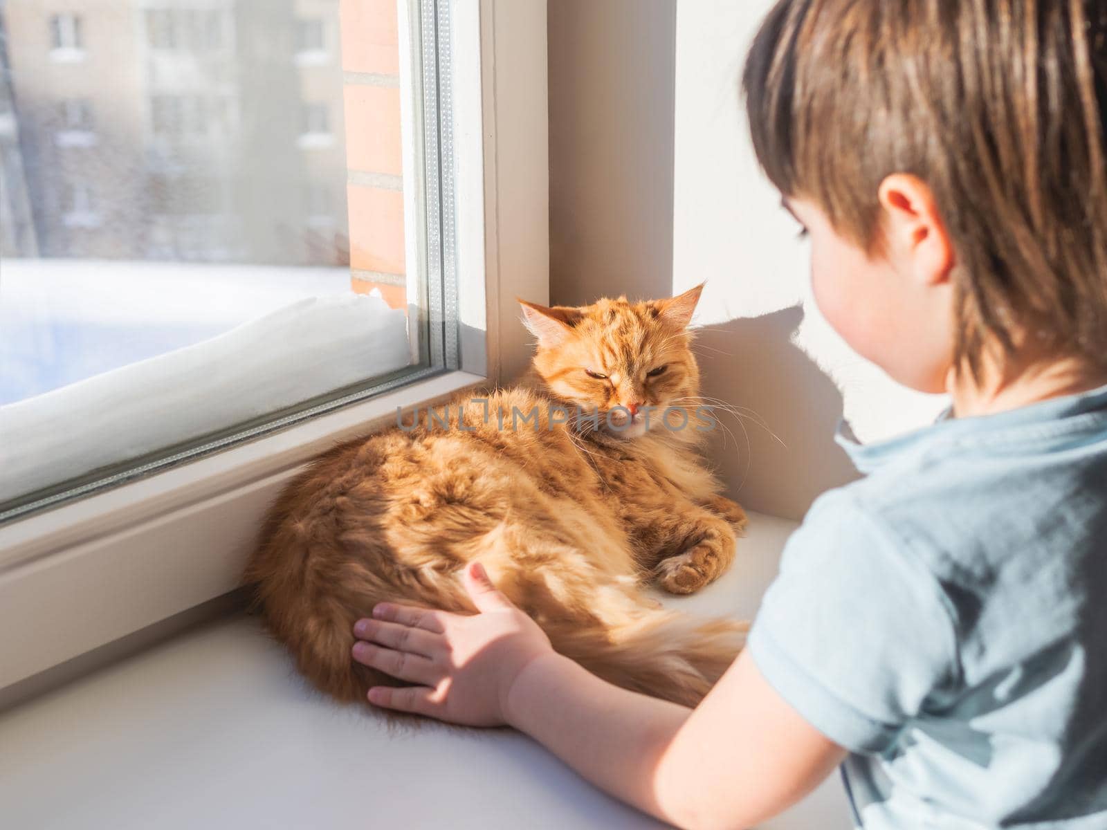 Toddler strokes sleepy ginger cat. Little boy touches cute fluffy pet. Kid and domestic animal on windowsill. Winter season at cozy home. by aksenovko