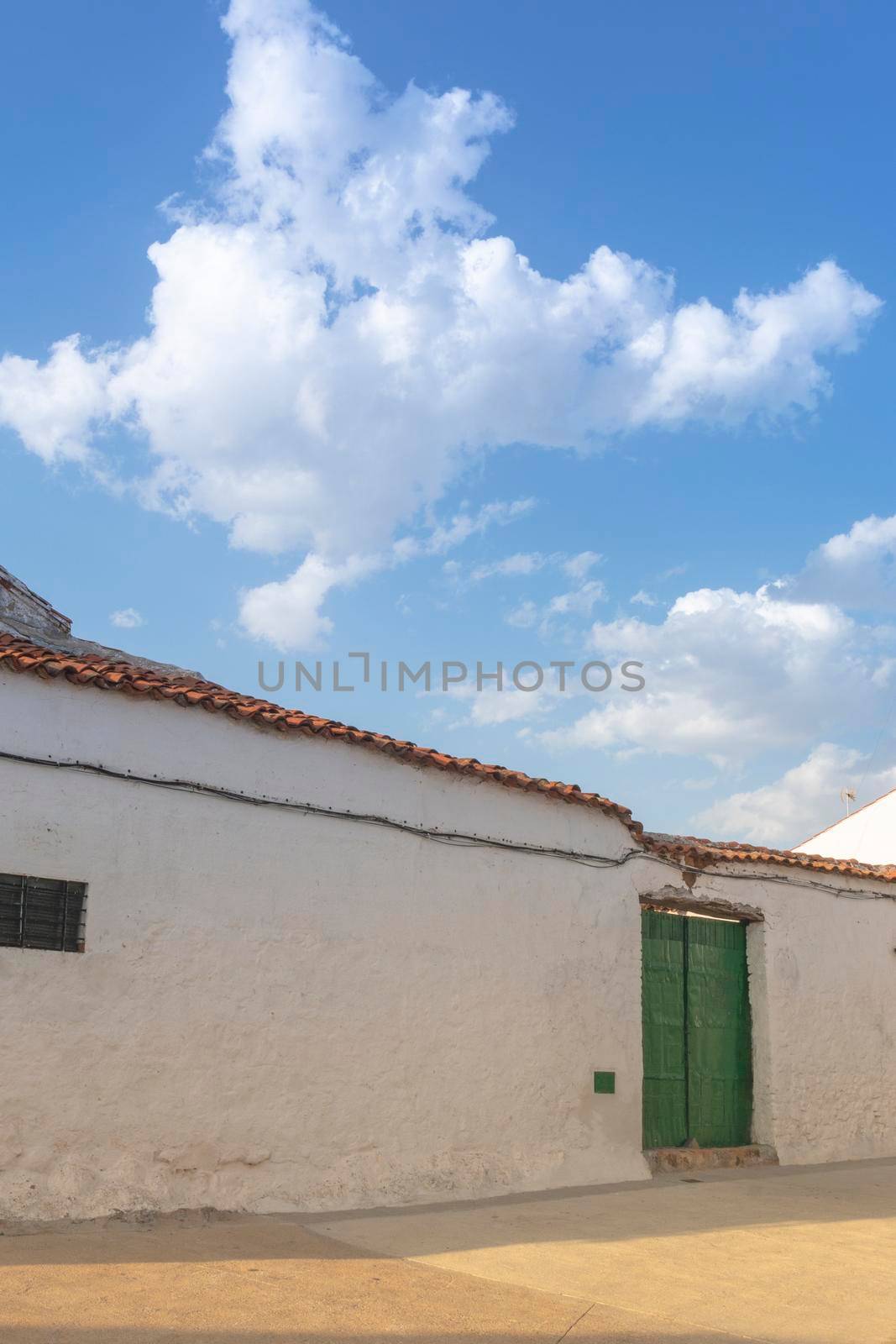 old stone houses whit green door by loopneo