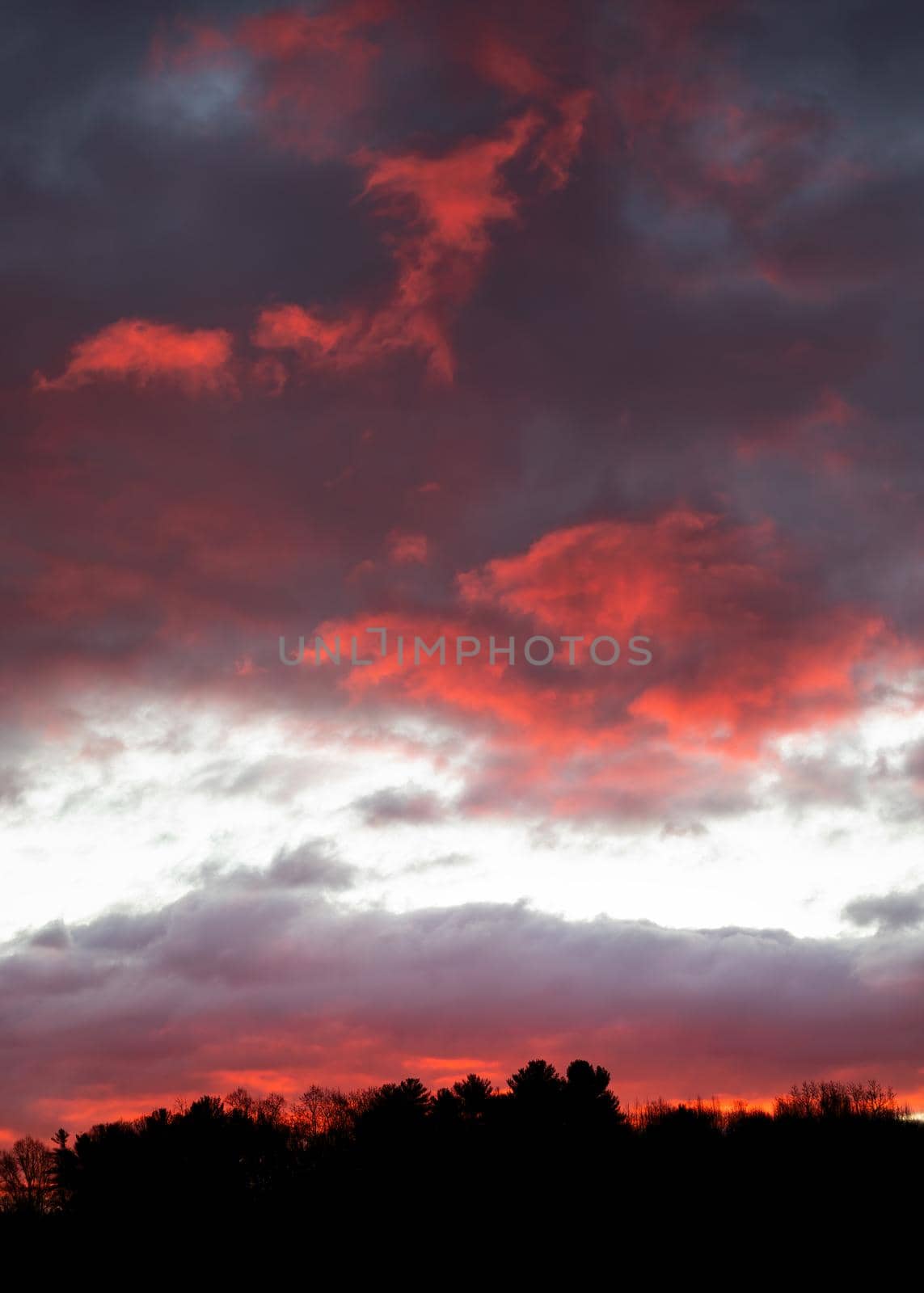Fire in the Morning Sky by CharlieFloyd