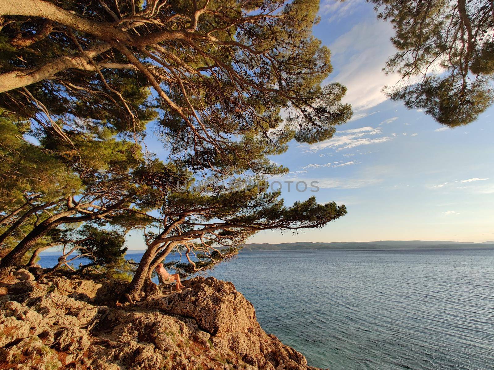 Pensive woman on vacations, sitting and relaxing under large pine tree on bench by dip blue sea enjoying beautiful sunset light in Brela, Makarska region, Dalmatia, Croatia by kasto