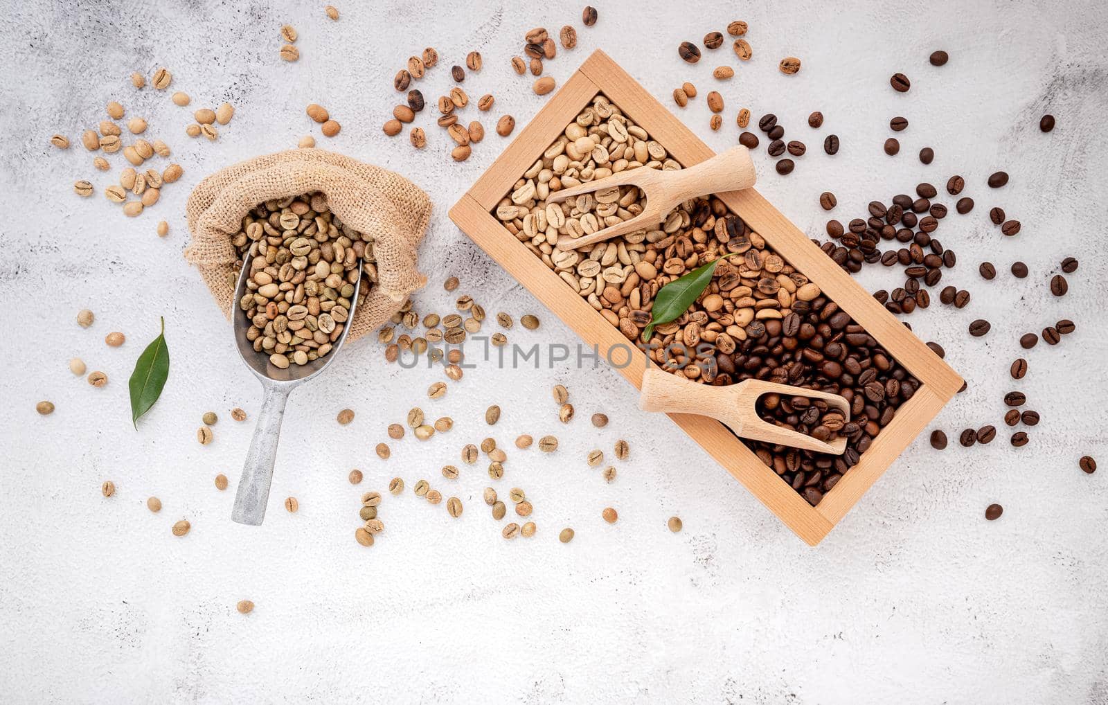 Green and brown decaf unroasted and dark roasted coffee beans in wooden box with scoops setup on white concrete background. by kerdkanno