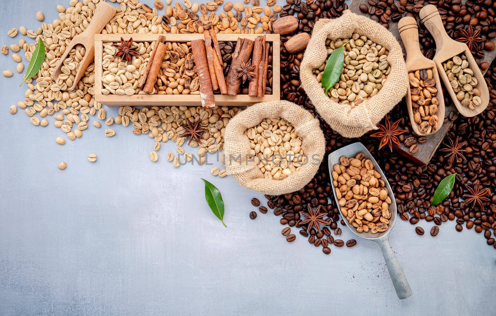 Green and brown decaf unroasted and dark roasted coffee beans in hemp sack bags with scoops setup on white concrete background.