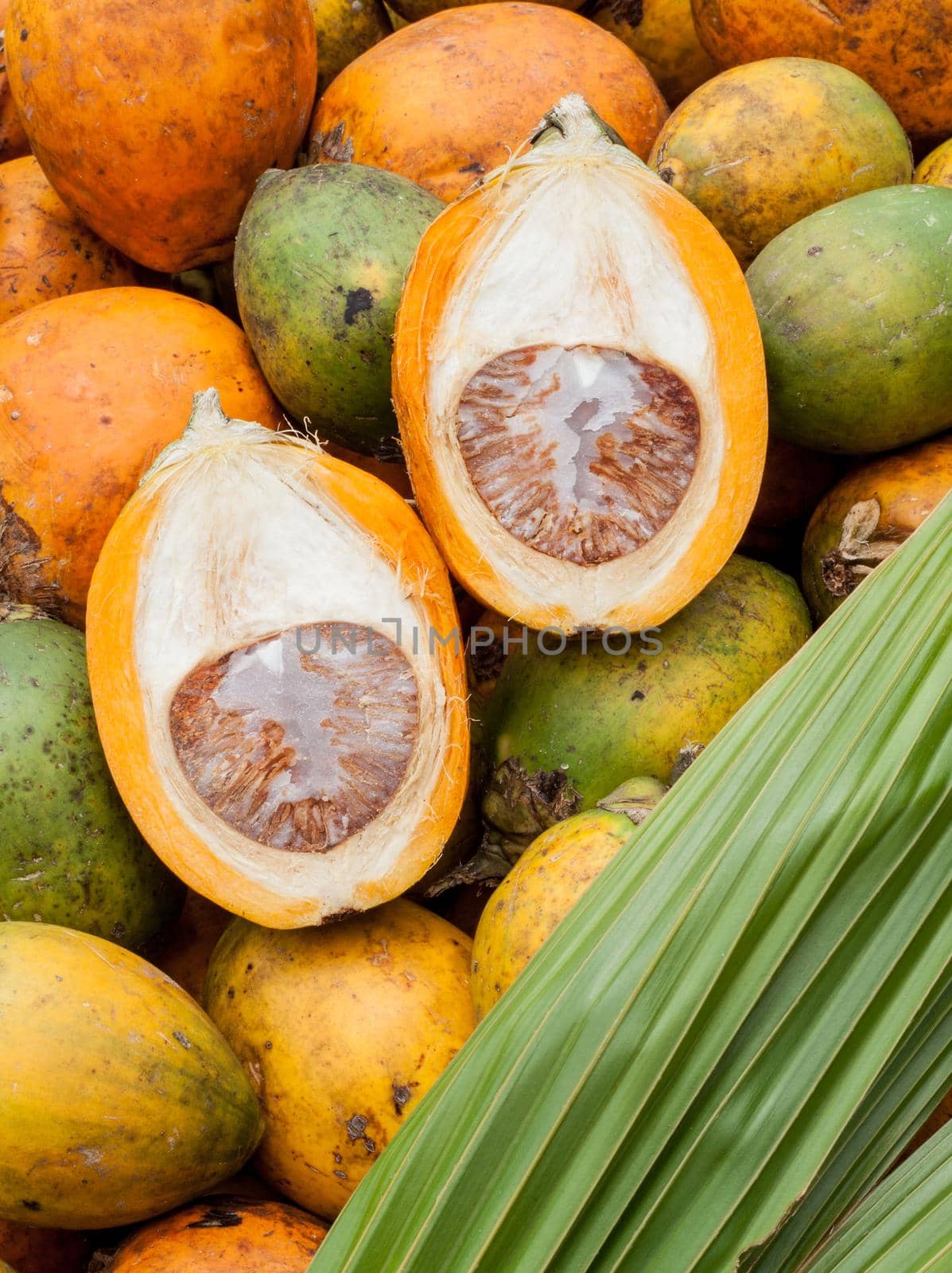 Betel nut put on the ground for drying. (Areca catechu) by kerdkanno