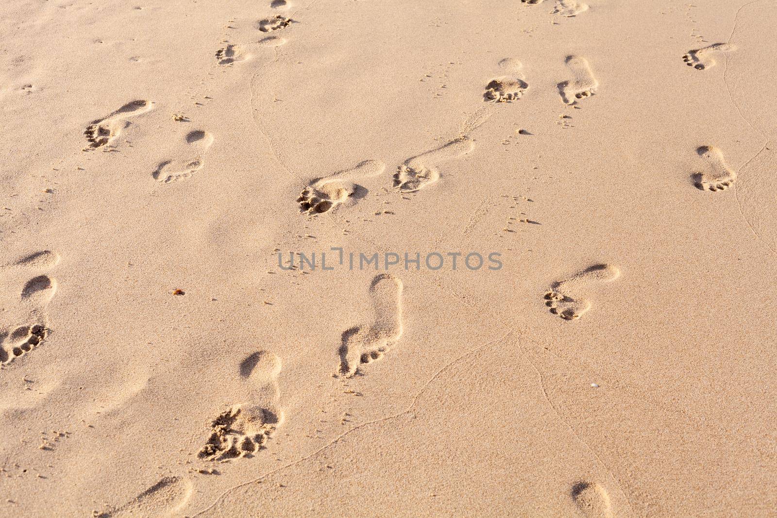 Footprints on the tropical beach.