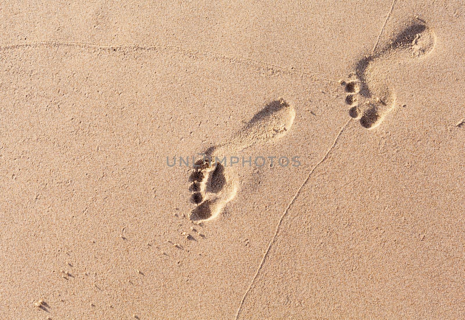 Footprints on the tropical beach.