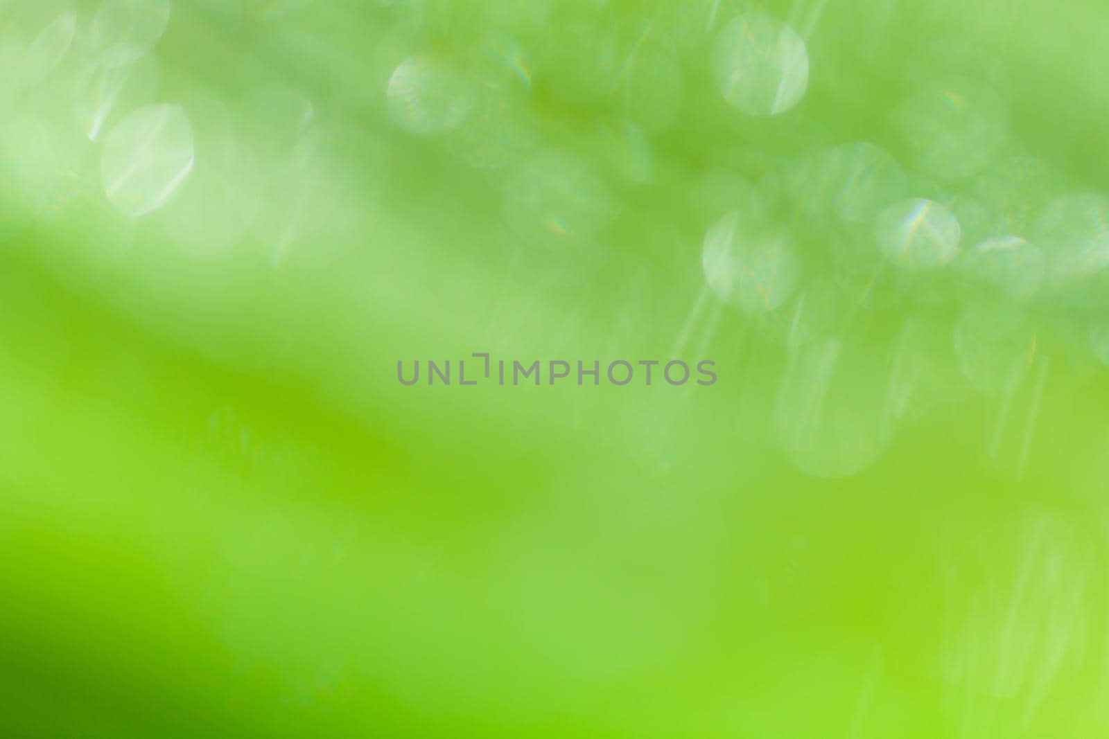 Beautiful bokeh  background - Water drops on the green banana leaf.