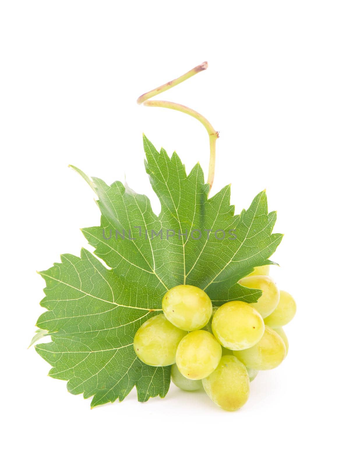 Green grape with leaves isolated on white. With clipping path. Full depth of field. by aprilphoto