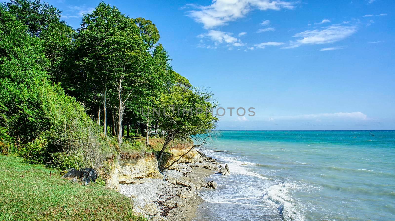Seascape with coastline and trees. Bambora, Abkhazia