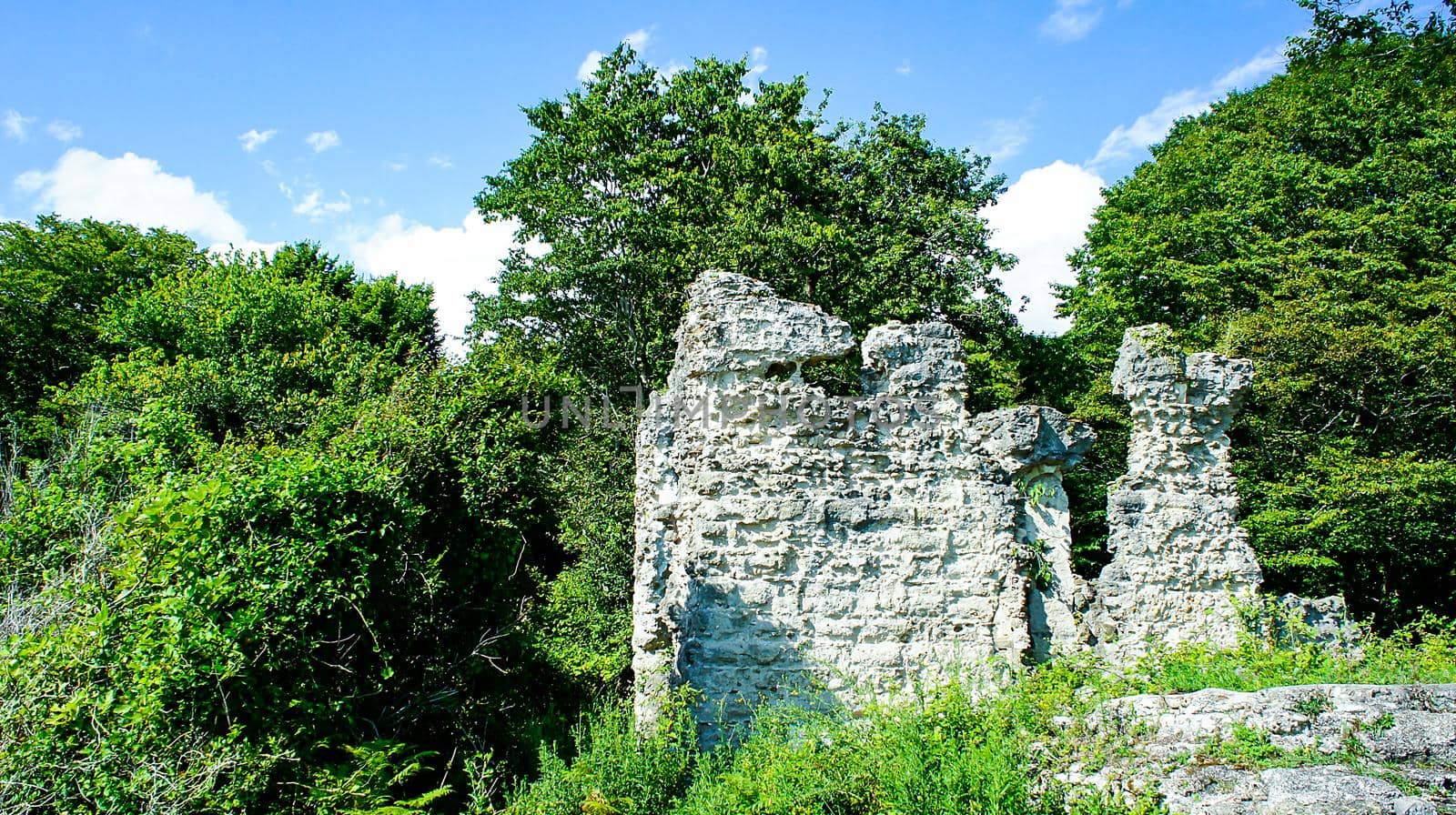 Natural landscape with ruins on the background of trees. Seraya Baba, Abkhazia