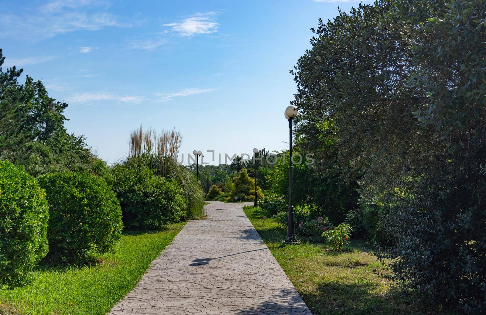 Natural landscape with a view of the Park of southern cultures. Sochi, Russia