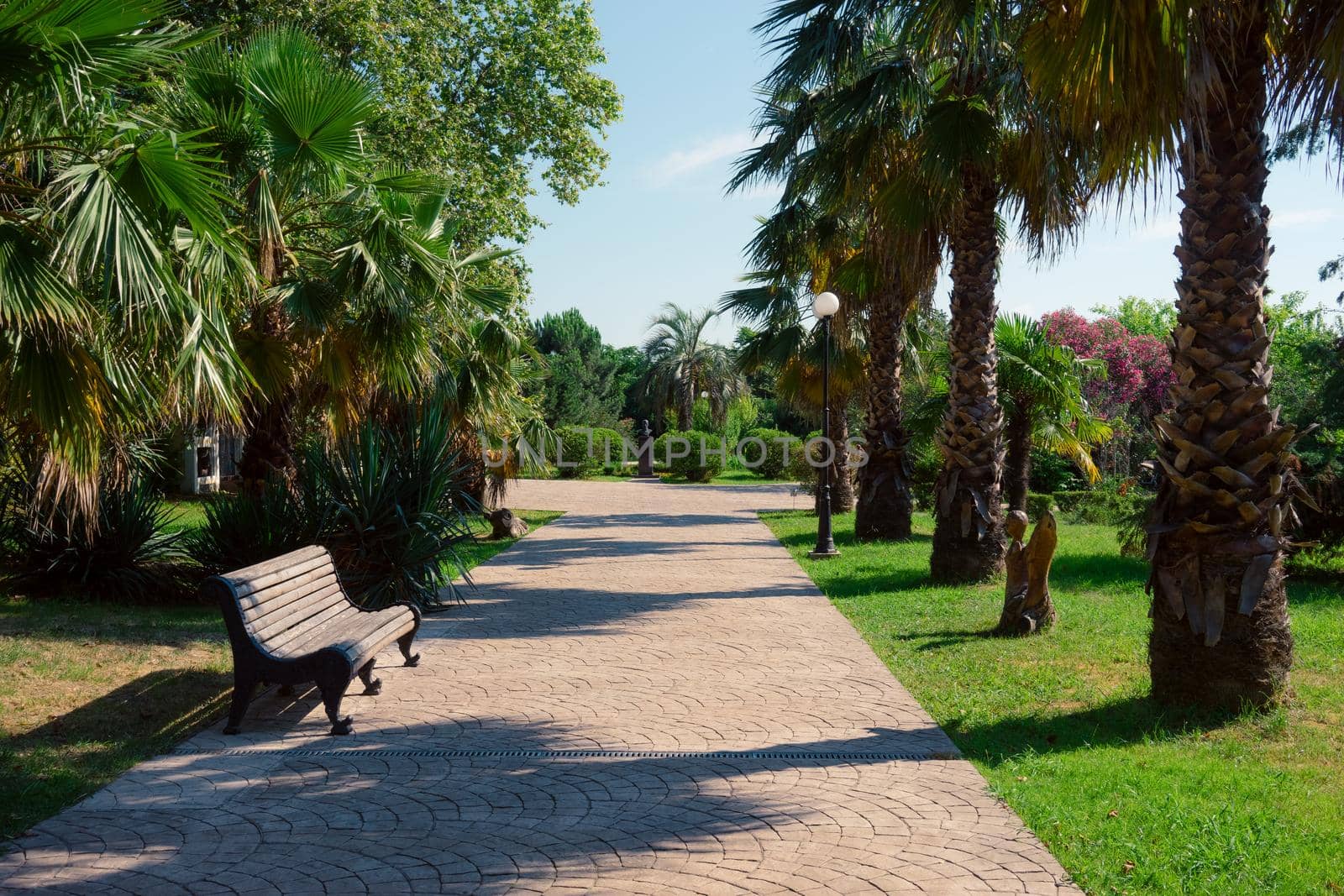 Natural landscape with a view of the Park of southern cultures. Sochi, Russia