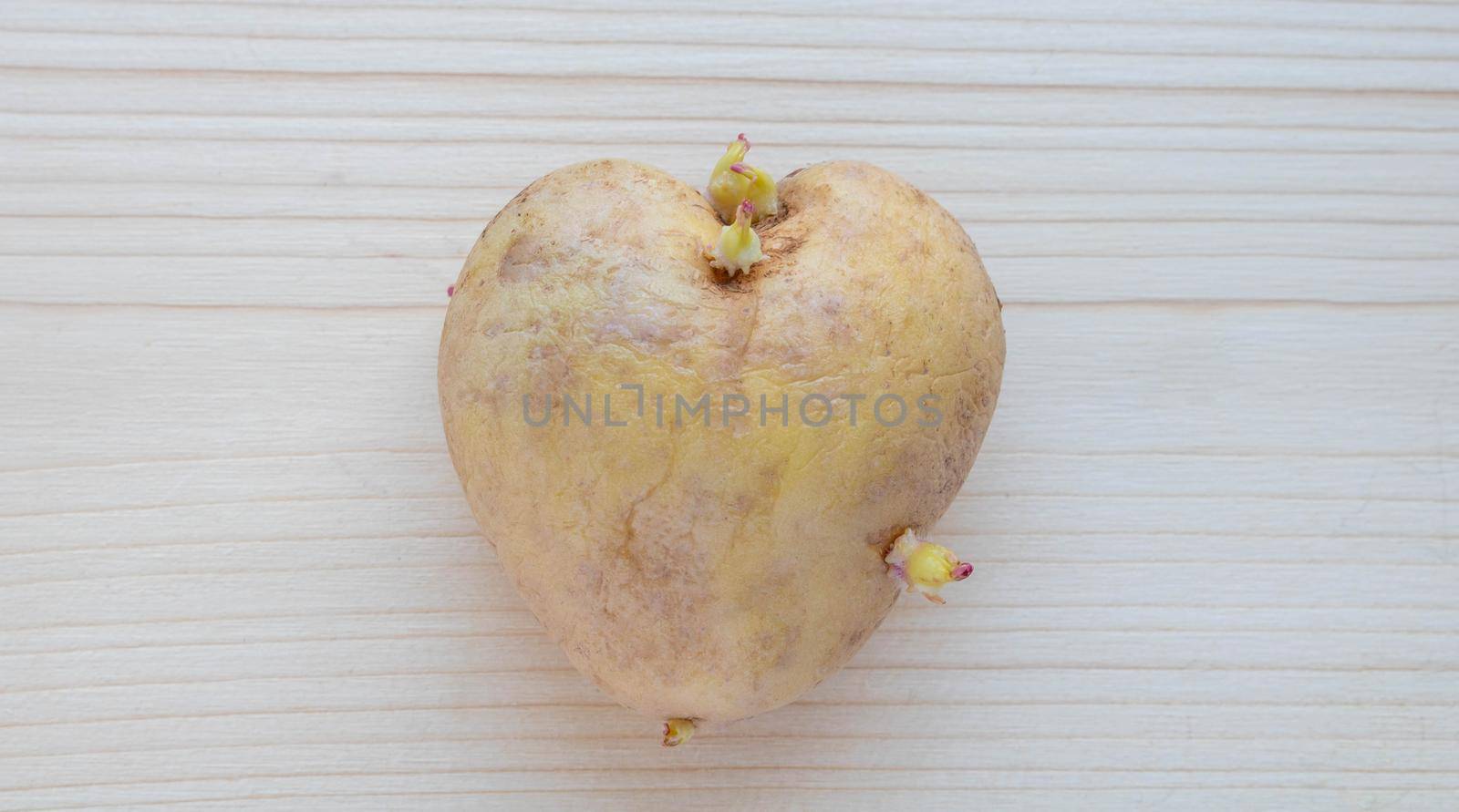 An unusual heart-shaped potato with sprouts lies on a wooden board on the table.