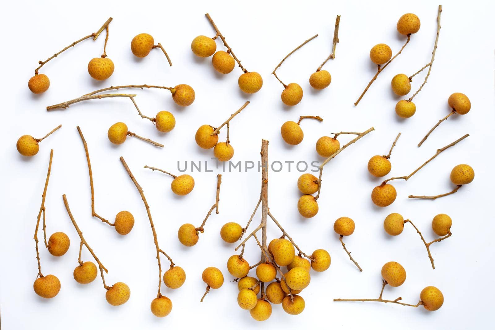 Longan isolated on white background. Top view