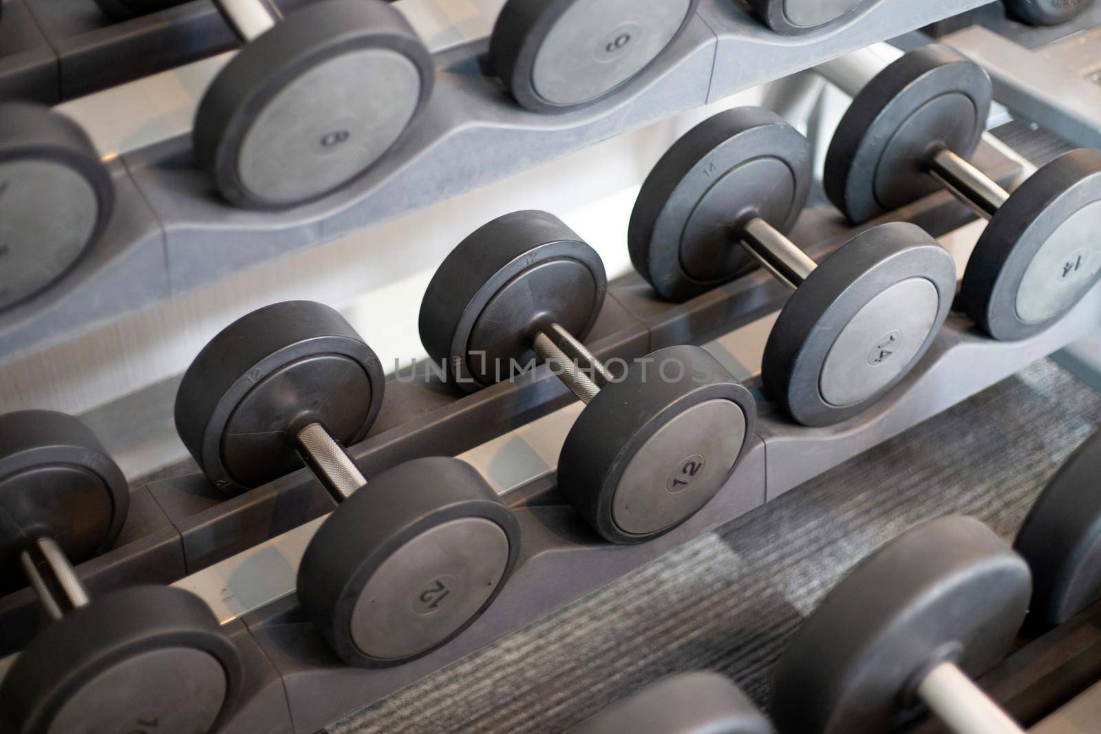Dumbbell rack in the fitness room