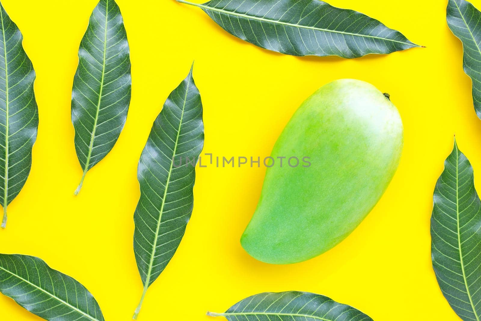 Top view of green mango with leaves on yellow background. Top view