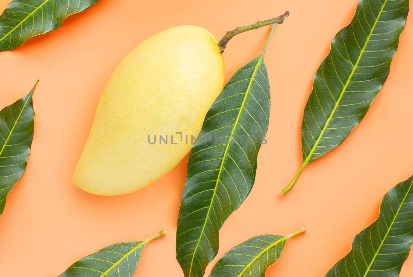 Top view of yellow mango, Tropical fruit  juicy and sweet.