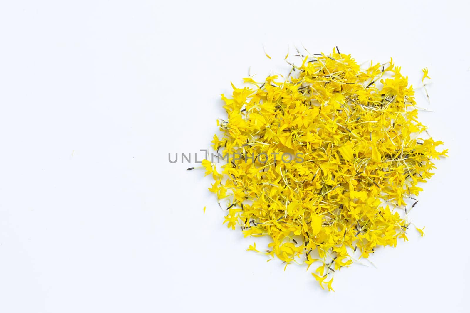 Marigold flower petals on white background