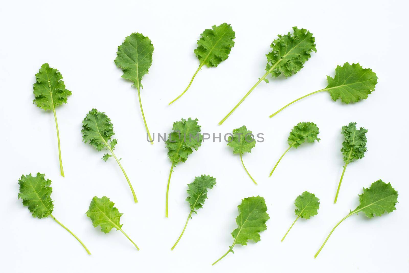 Kale leaves on white background. Top view