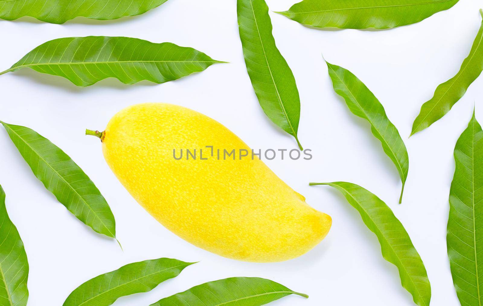 Tropical fruit, Mango with leaves on white background. Top view